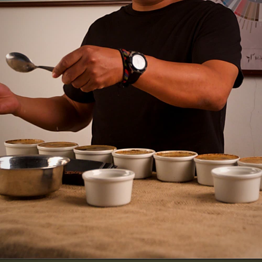 Cupping & SCA Scoring